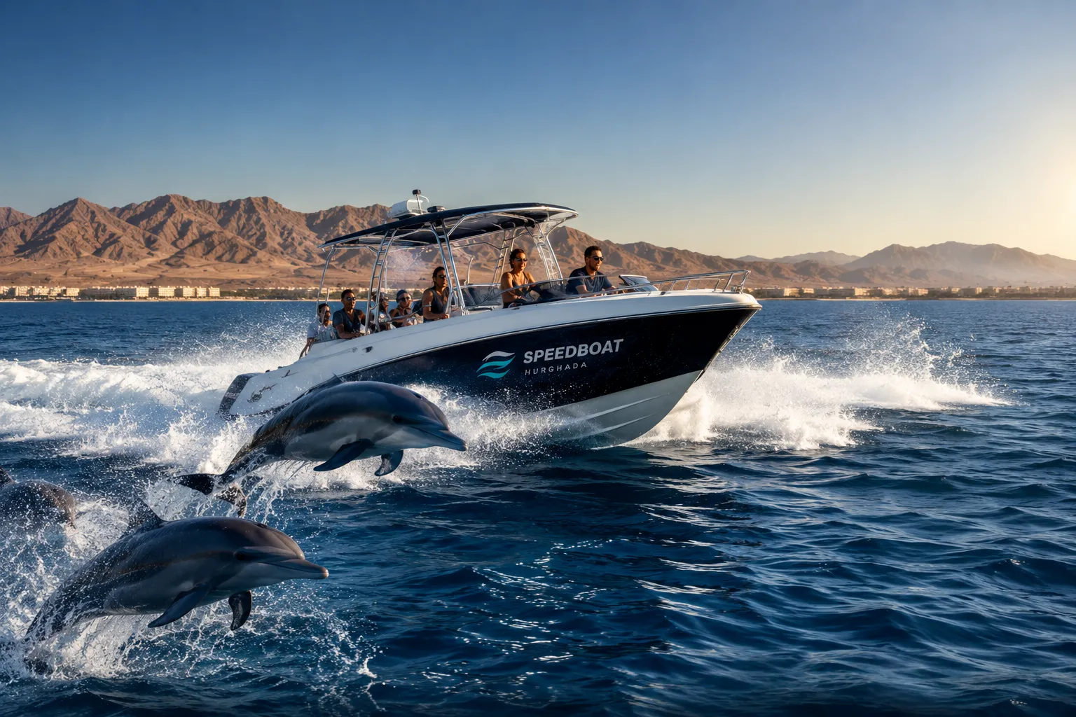 Private speedboat with dolphins on the Red Sea near the Hurghada coastline