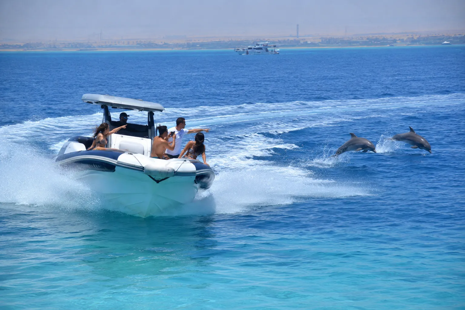 Two wild dolphins leaping beside a private speedboat on the Dolphin House trip in Hurghada